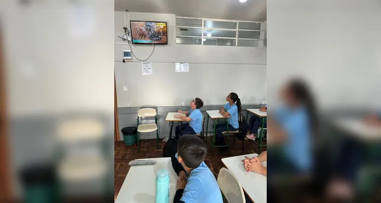 A proposta contou com variadas atividades, como fotos retratando o meio ambiente em suas casas, a criação de crônicas e a realização de uma entrevista sobre um projeto local. Além do auxílio dos conteúdos do projeto Vamos Ler.