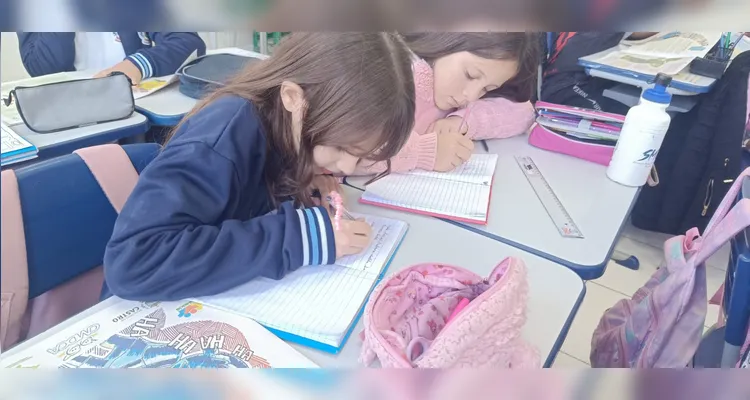 Confira os registros do amplo trabalho realizado pelos educandos.