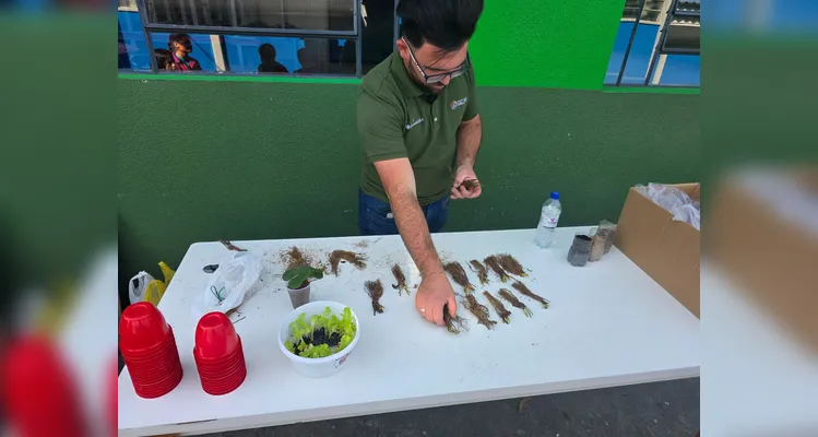 A turma assistiu aos conteúdos em formato de videoaula do Vamos Ler, participou de uma dinâmica com um agrônomo convidado, que envolveu entrevistas e o plantio de mudas e finalizou as ações visitando a Secretaria de Agricultura para uma palestra sobre o assunto.