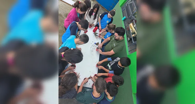 A turma assistiu aos conteúdos em formato de videoaula do Vamos Ler, participou de uma dinâmica com um agrônomo convidado, que envolveu entrevistas e o plantio de mudas e finalizou as ações visitando a Secretaria de Agricultura para uma palestra sobre o assunto.