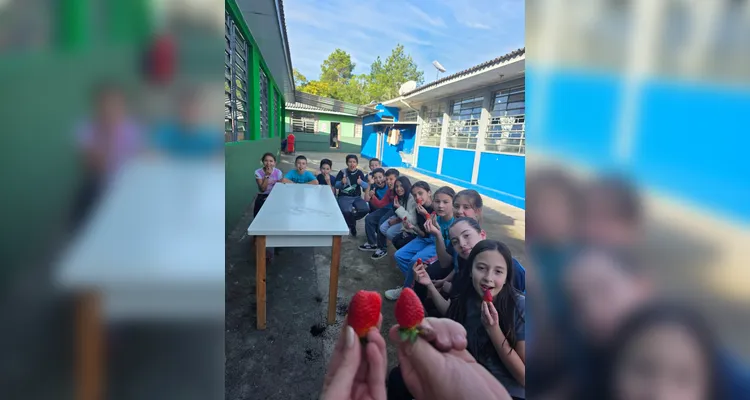 A turma assistiu aos conteúdos em formato de videoaula do Vamos Ler, participou de uma dinâmica com um agrônomo convidado, que envolveu entrevistas e o plantio de mudas e finalizou as ações visitando a Secretaria de Agricultura para uma palestra sobre o assunto.