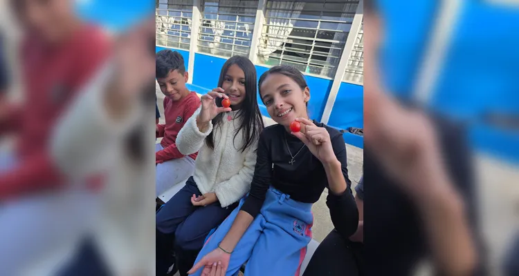 A turma assistiu aos conteúdos em formato de videoaula do Vamos Ler, participou de uma dinâmica com um agrônomo convidado, que envolveu entrevistas e o plantio de mudas e finalizou as ações visitando a Secretaria de Agricultura para uma palestra sobre o assunto.