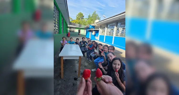 A turma assistiu aos conteúdos em formato de videoaula do Vamos Ler, participou de uma dinâmica com um agrônomo convidado, que envolveu entrevistas e o plantio de mudas e finalizou as ações visitando a Secretaria de Agricultura para uma palestra sobre o assunto.