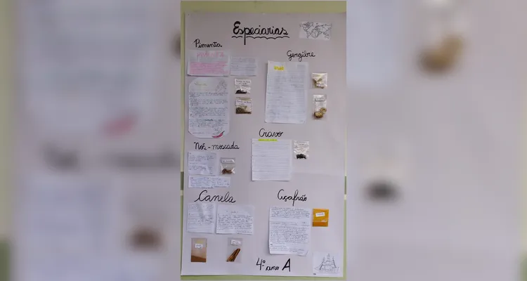 Educandos participar ativamente da proposta.