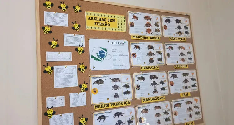 Veja os registros do trabalho.