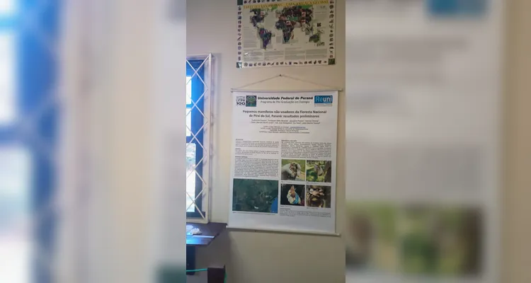 Veja os registros do trabalho.