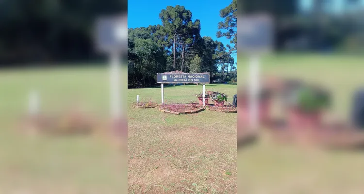 Veja os registros do trabalho.