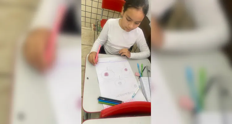 Confira a série de registros do amplo trabalho em sala de aula.