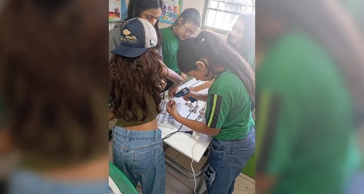Veja os registros do amplo trabalho em sala de aula.