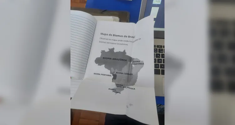 Veja os registros do trabalho.