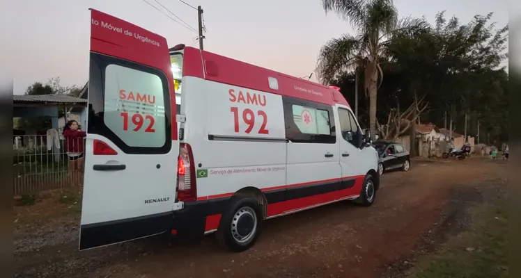 Menino vai brincar em casa de vizinho e é atacado por cão em PG