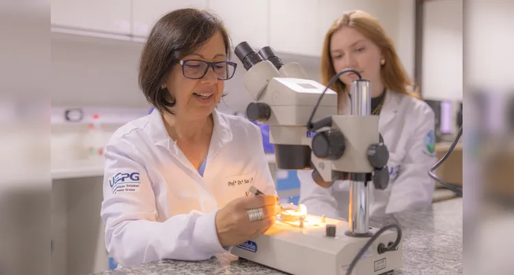 Nova espécie de besouro é identificada por pesquisadores da UEPG