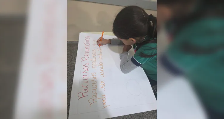 Posteriormente, os alunos elaboraram cartazes e folders e realizaram apresentações aos demais colegas do terceiro e quarto ano da escola.