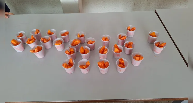 Confira a série de registros dos diversificados momentos sobre a temática alimentar.
