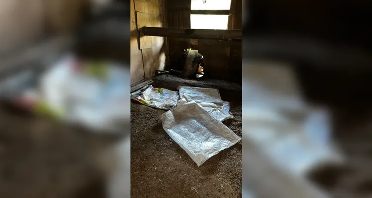 Jovem desaparecido é encontrado em construção abandonada em Imbituva
