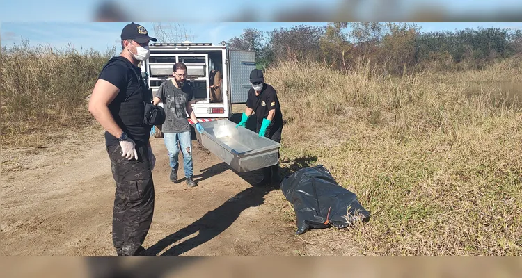 Confira imagens do local onde corpo foi encontrado em decomposição