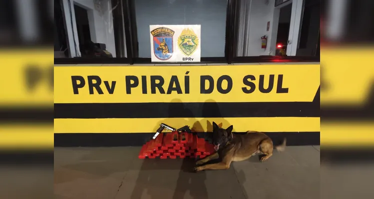 Mulher é detida ao transportar mais de 20 kg de maconha na PR-151