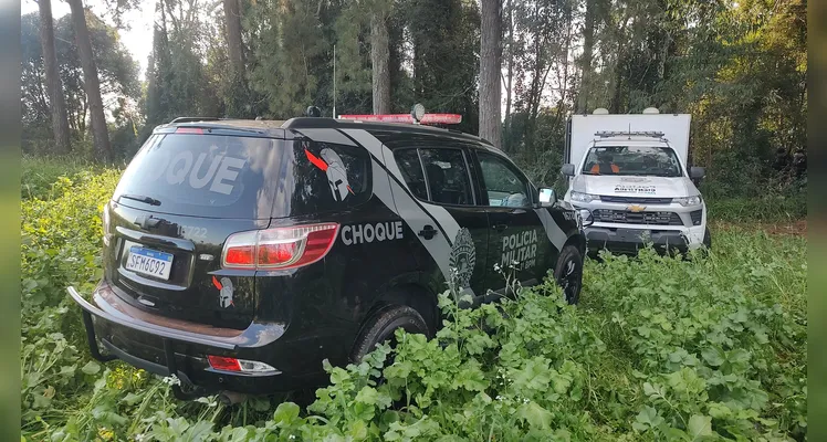 Imagens mostram a remoção de suspeito morto em tiroteio em PG