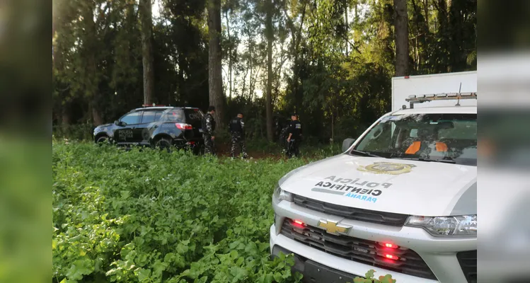 Imagens mostram a remoção de suspeito morto em tiroteio em PG