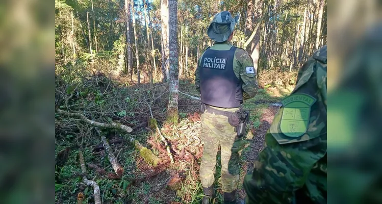 Homem é multado em R$ 200 mil por crime ambiental em Teixeira Soares