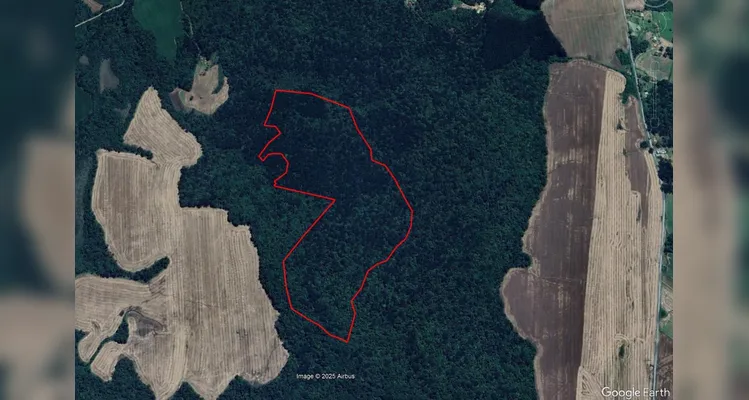 Homem é multado em R$ 200 mil por crime ambiental em Teixeira Soares