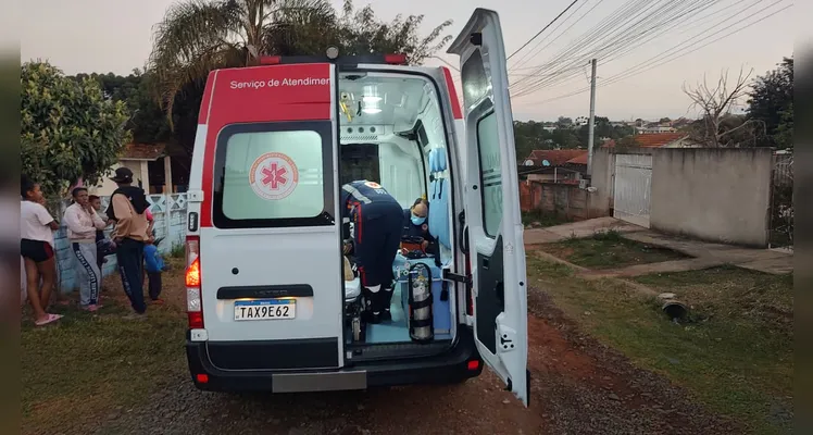 Menino vai brincar em casa de vizinho e é atacado por cão em PG
