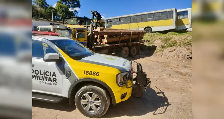 Caminhão é apreendido com toras de araucária em Piraí do Sul; espécie está em extinção