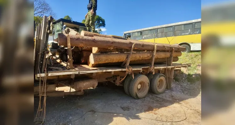 Caminhão é apreendido com toras de araucária em Piraí do Sul; espécie está em extinção
