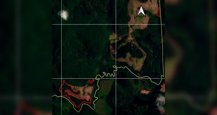 Polícia Ambiental autua infrator e embarga 14,5 hectares em Inácio Martins