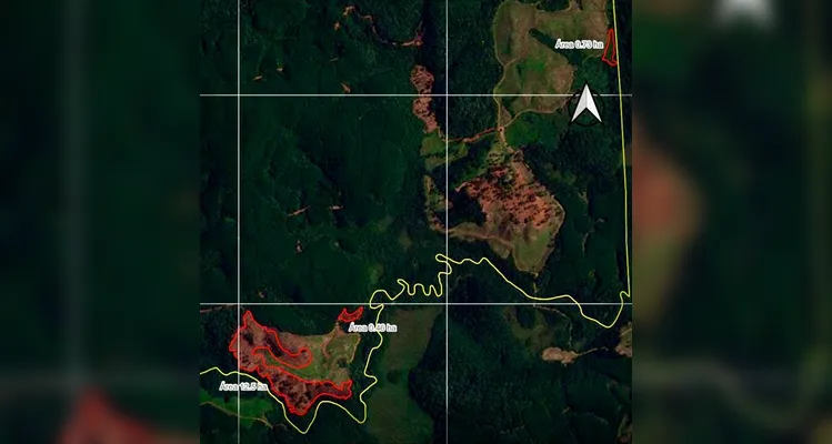 Polícia Ambiental autua infrator e embarga 14,5 hectares em Inácio Martins