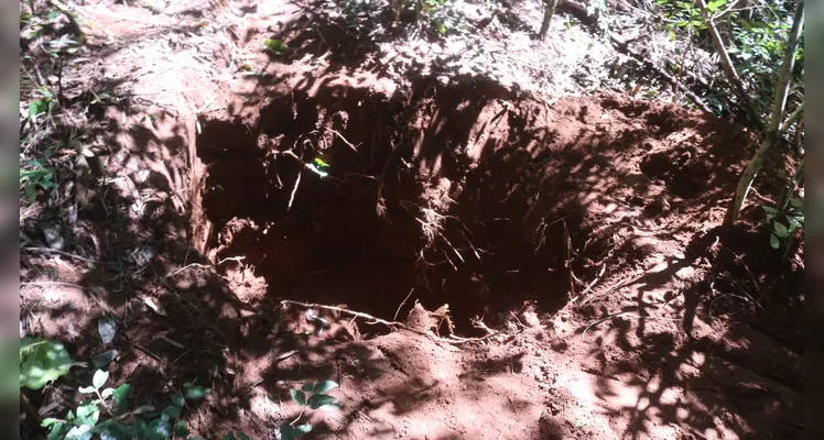 Ossada encontrada em PG pode estar há anos enterrada no local