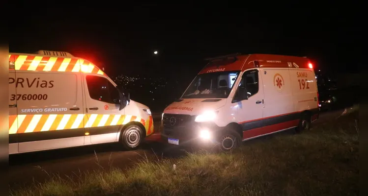 Condutor 'apaga', sai da pista, não resiste e morre na BR-376, em PG