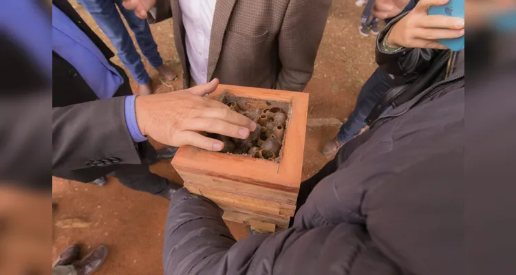 'Bosque do Mel' é inaugurado no Campus Uvaranas