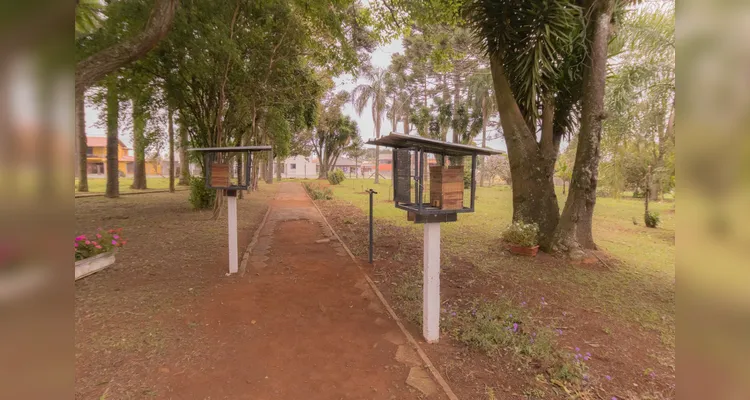 'Bosque do Mel' é inaugurado no Campus Uvaranas