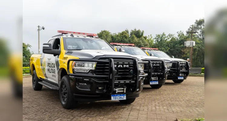 Apenas a compra dos automóveis recebeu um aporte de R$ 38,3 milhões