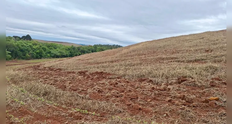 Propriedades são multadas em R$ 83 mil em Santa Maria do Oeste por crimes ambientais