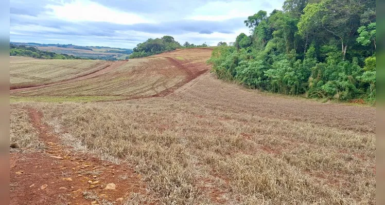 Propriedades são multadas em R$ 83 mil em Santa Maria do Oeste por crimes ambientais