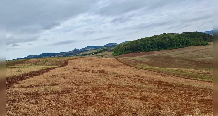 Propriedades são multadas em R$ 83 mil em Santa Maria do Oeste por crimes ambientais