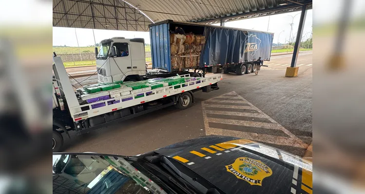 PRF apreende quase 3 toneladas de maconha em carga de papelão no PR