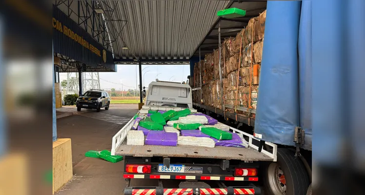 PRF apreende quase 3 toneladas de maconha em carga de papelão no PR