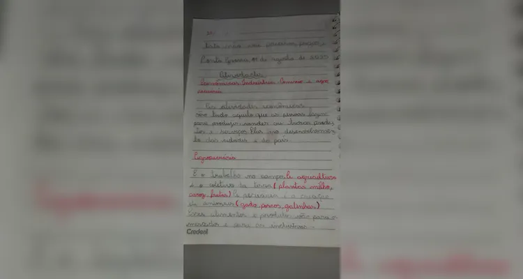A proposta realizada pela turma incluiu, além do uso da videoaula do Vamos Ler,  a realização de textos coletivos, gráficos e reflexões.