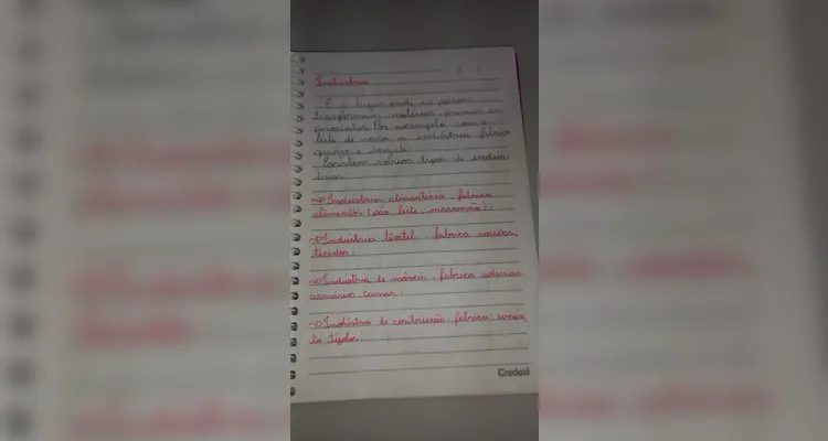 A proposta realizada pela turma incluiu, além do uso da videoaula do Vamos Ler,  a realização de textos coletivos, gráficos e reflexões.