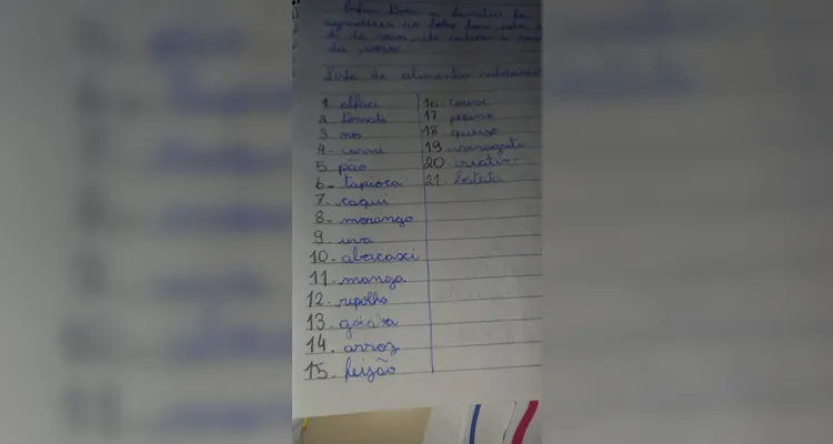 A proposta realizada pela turma incluiu, além do uso da videoaula do Vamos Ler,  a realização de textos coletivos, gráficos e reflexões.