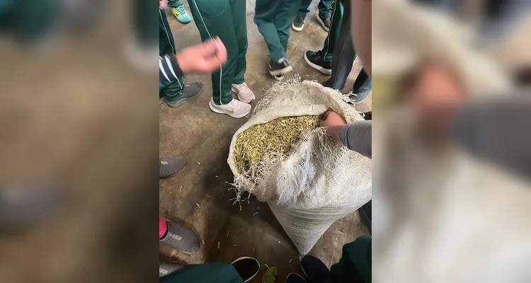 Confira a série de registros dos alunos no local.