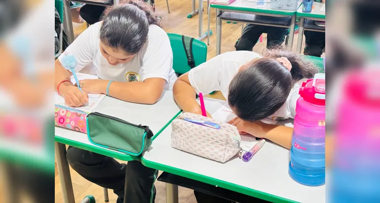 Estudantes tiveram diversos benefícios pedagógicos junto à proposta.
