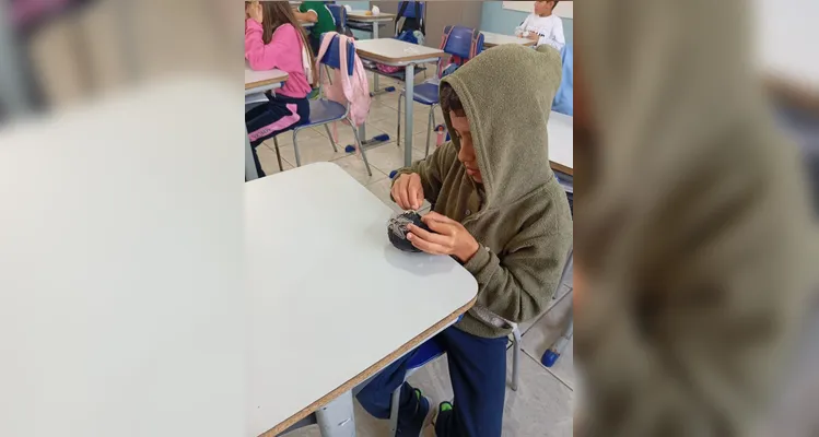 Veja os registros do amplo trabalho ambiental, dentro e fora da sala de aula.