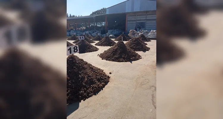 Veja os registros do amplo trabalho ambiental, dentro e fora da sala de aula.