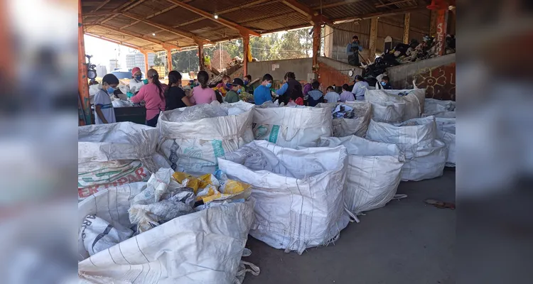 Veja os registros do amplo trabalho ambiental, dentro e fora da sala de aula.