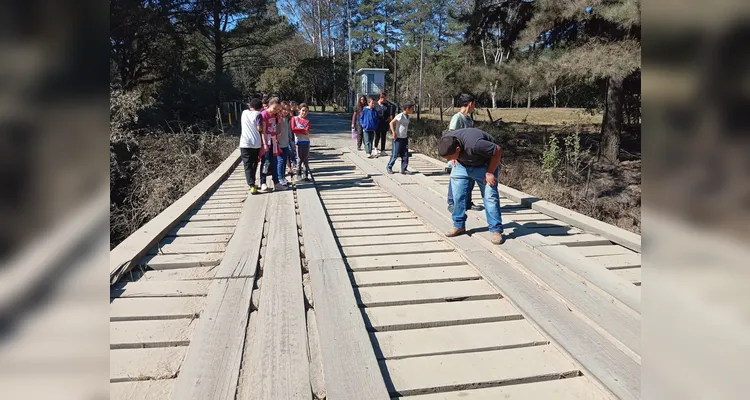 Veja os registros do amplo trabalho ambiental, dentro e fora da sala de aula.