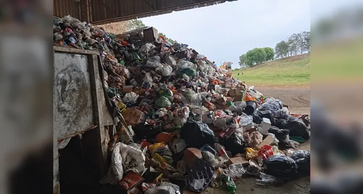 Veja os registros do amplo trabalho ambiental, dentro e fora da sala de aula.